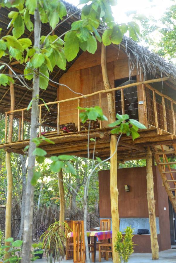 Pidurangala View Treehouse Apartman Szigirija Kültér fotó