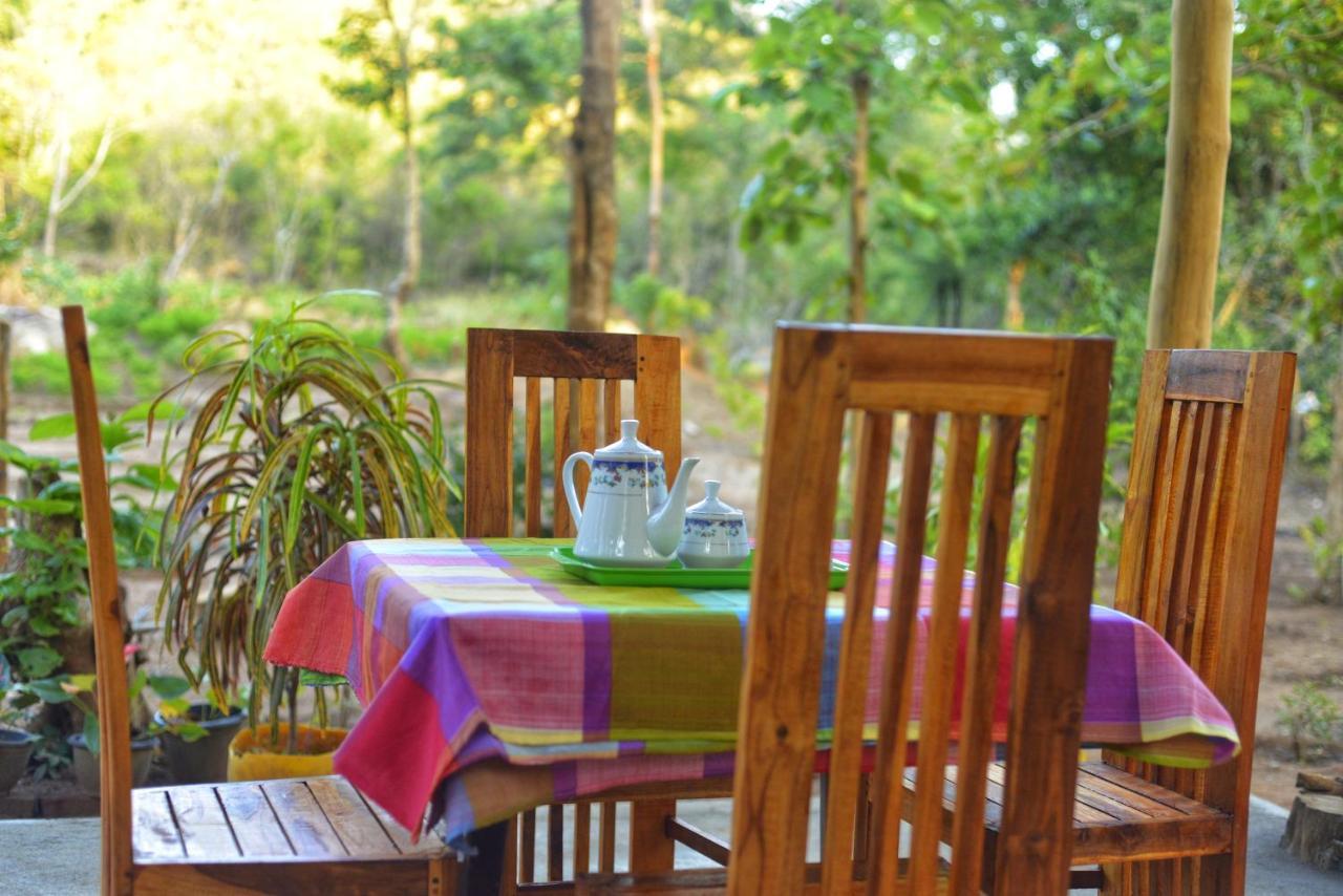 Pidurangala View Treehouse Apartman Szigirija Kültér fotó