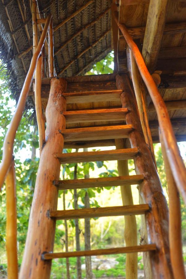 Pidurangala View Treehouse Apartman Szigirija Kültér fotó