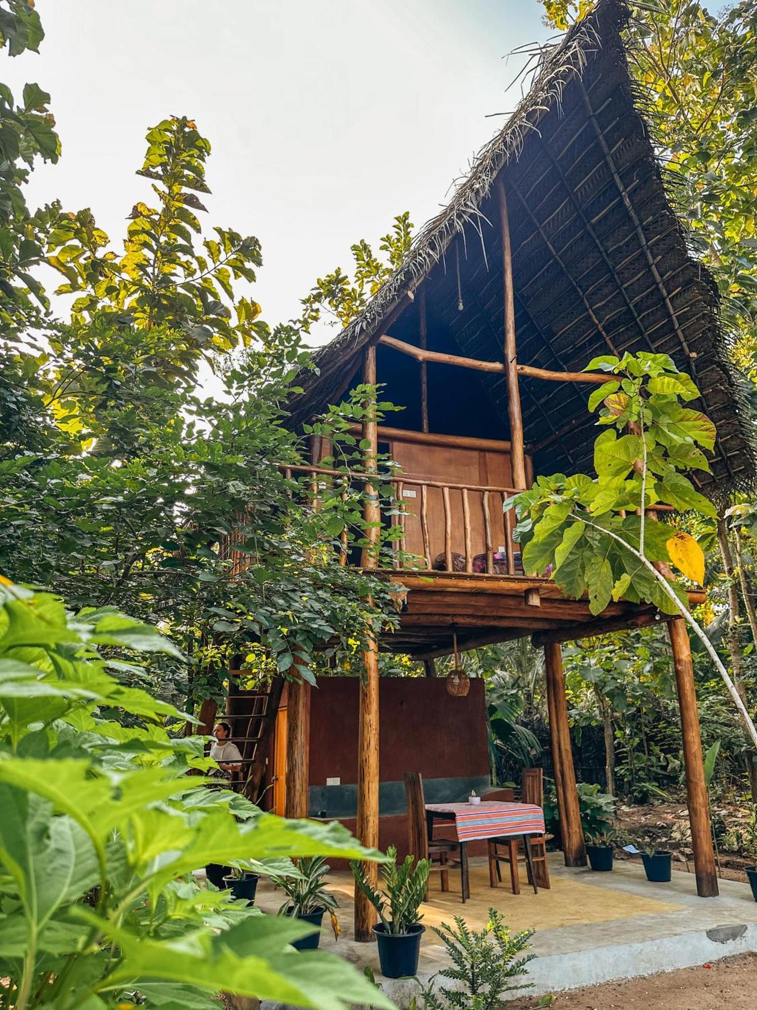 Pidurangala View Treehouse Apartman Szigirija Kültér fotó