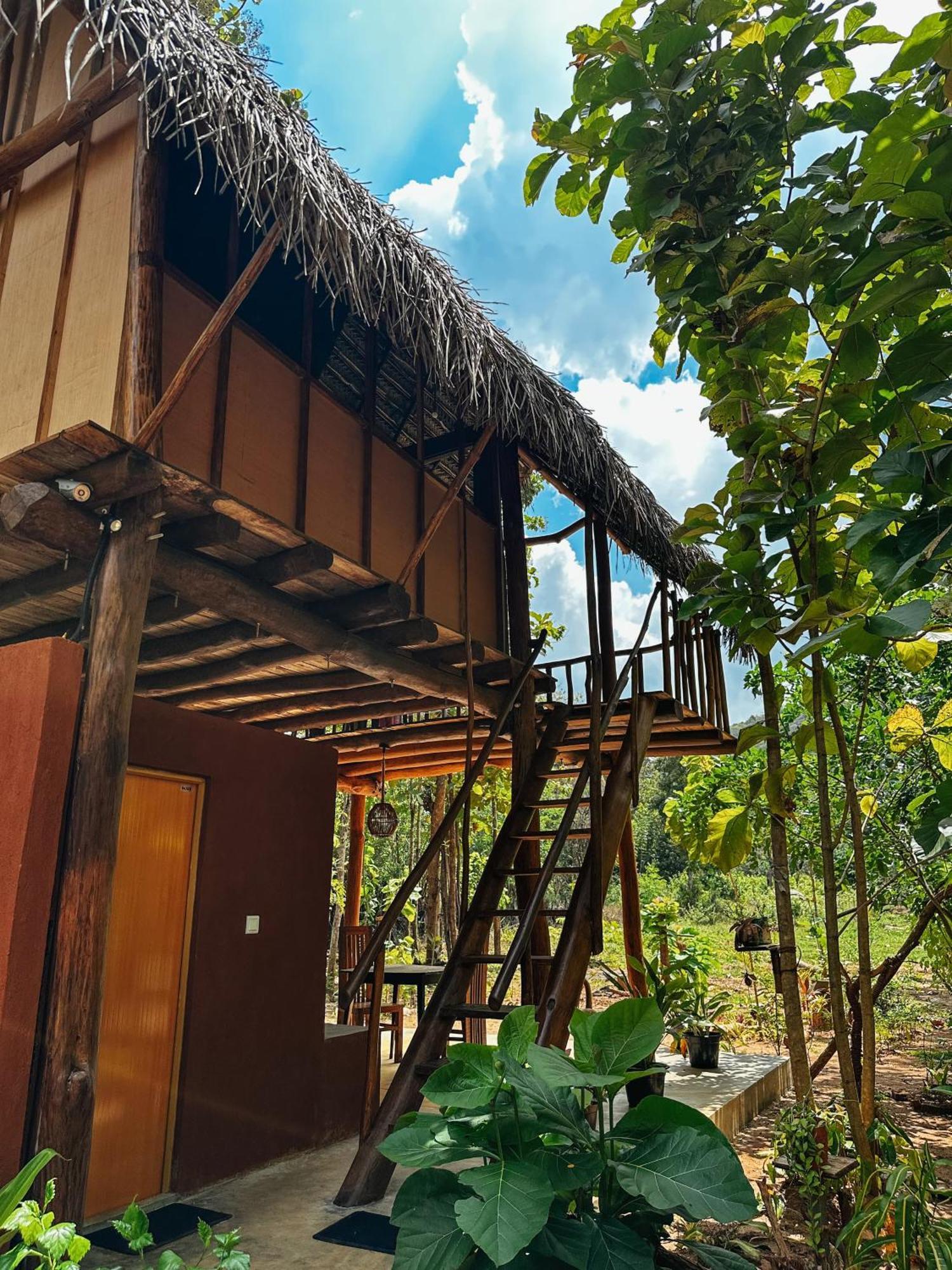 Pidurangala View Treehouse Apartman Szigirija Kültér fotó