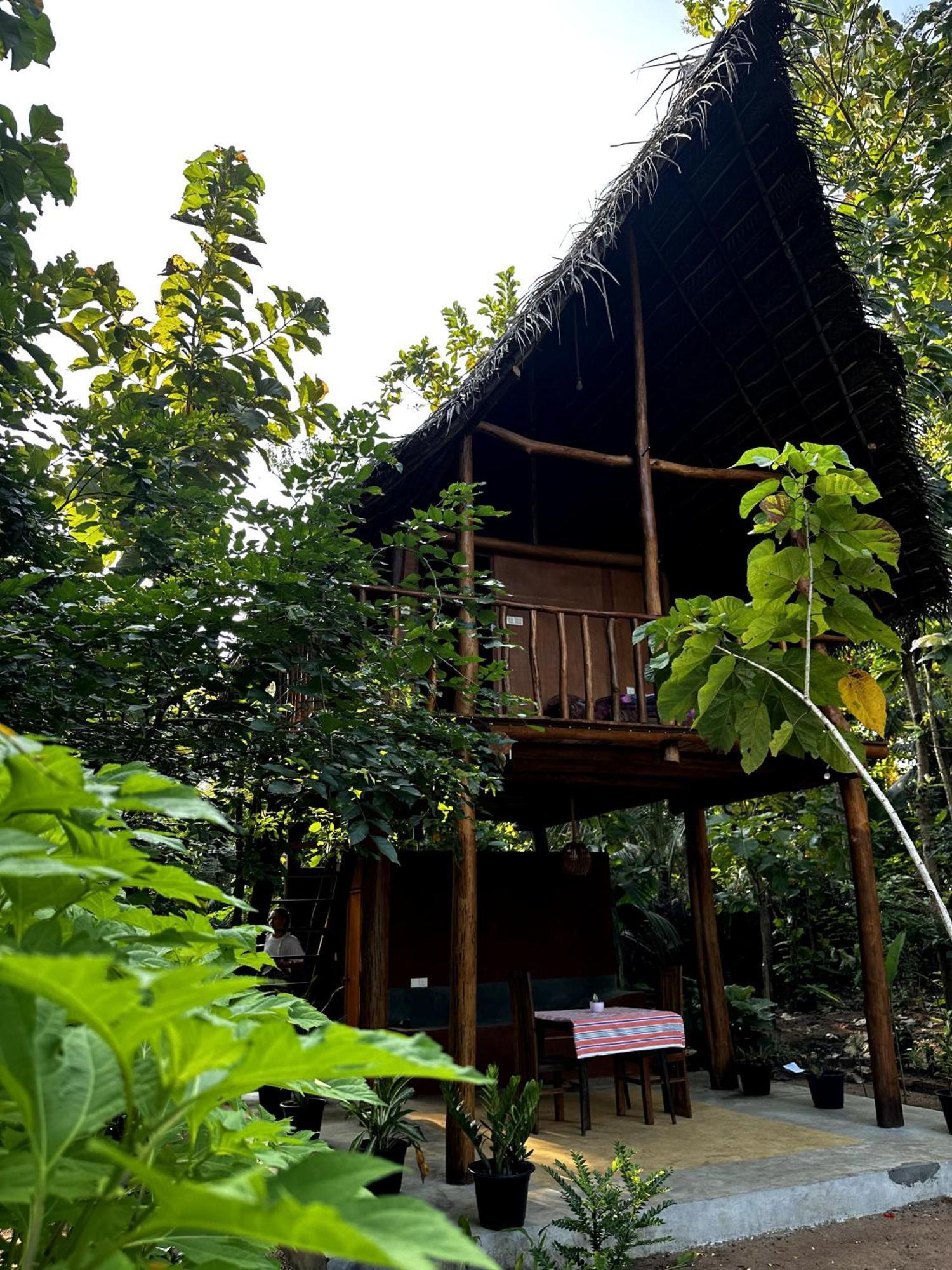 Pidurangala View Treehouse Apartman Szigirija Kültér fotó