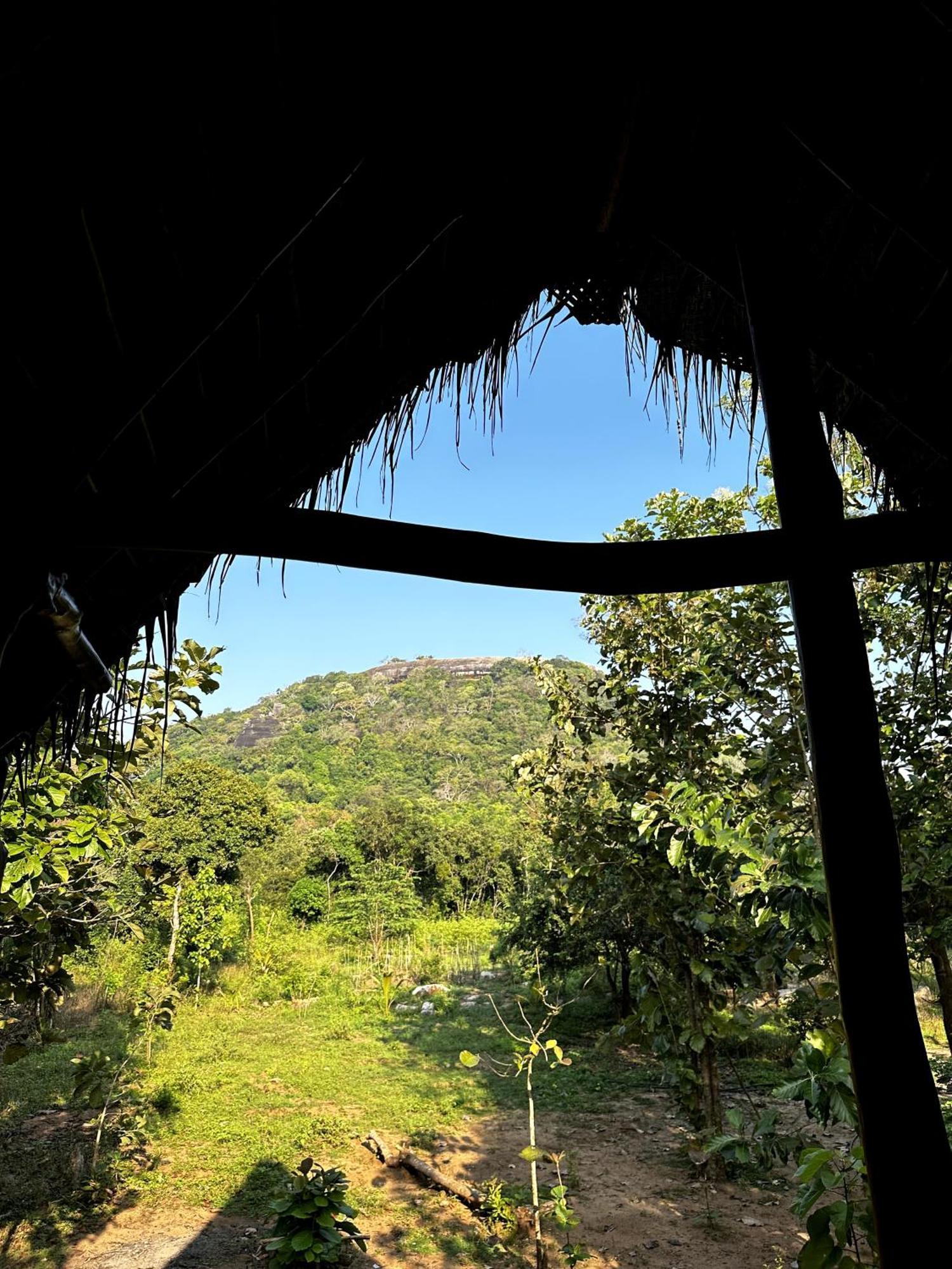 Pidurangala View Treehouse Apartman Szigirija Kültér fotó