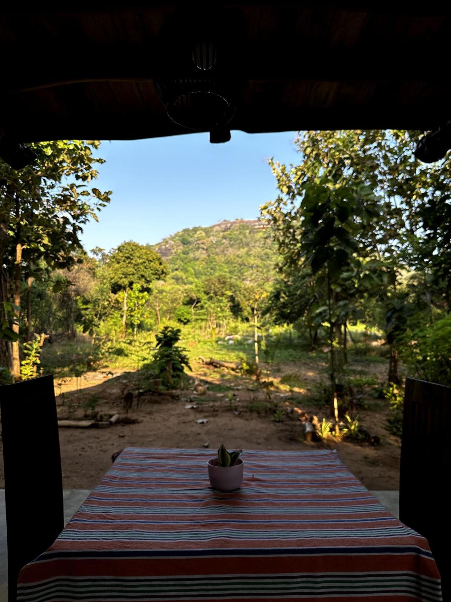 Pidurangala View Treehouse Apartman Szigirija Kültér fotó