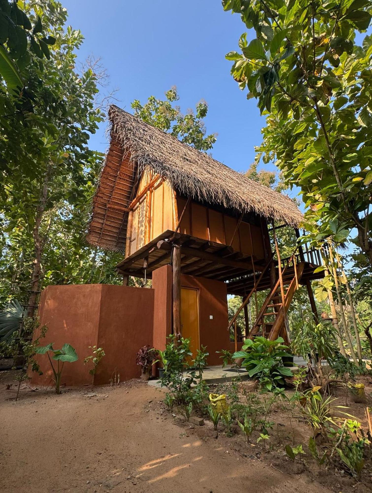 Pidurangala View Treehouse Apartman Szigirija Kültér fotó