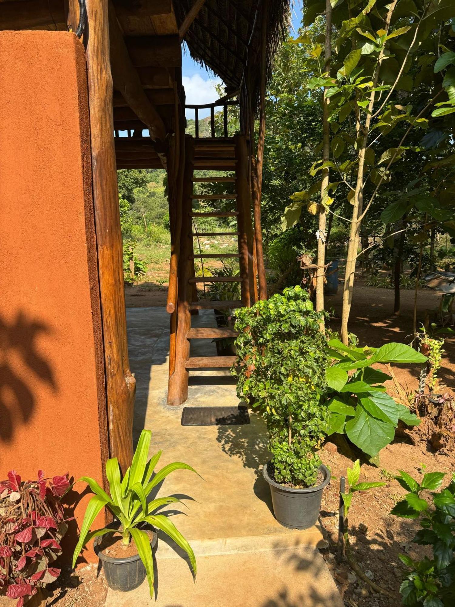 Pidurangala View Treehouse Apartman Szigirija Kültér fotó